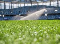 五大联赛替,补席进球王,瑟洛特赛季,永利皇宫app,永利皇宫app官网入口,永利皇宫app官网首页,永利皇宫app官网