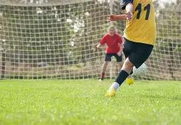 贝拉尔迪恢,复球队训练,或干扰尤文,永利皇宫app,永利皇宫app官网入口,永利皇宫app官网首页,永利皇宫app官网