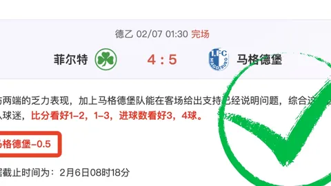 库巴西：誓夺胜利，赛场坚守，永不言弃